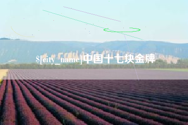 郓城中国十七块金牌