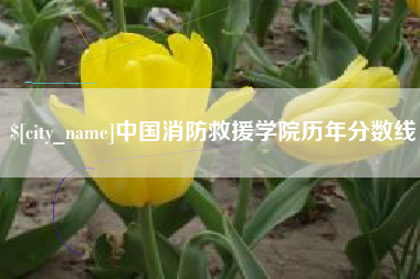 郓城中国消防救援学院历年分数线