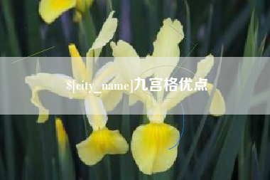 郓城九宫格优点