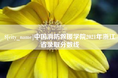 郓城中国消防救援学院2021年浙江省录取分数线