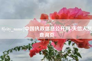 郓城中国执政信息公开网-失信人员查询页