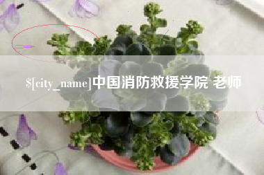 郓城中国消防救援学院 老师