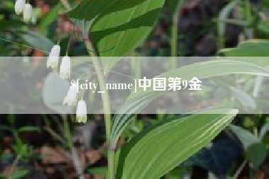 郓城中国第9金