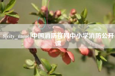 郓城中国消防官网中小学消防公开课