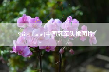 郓城中国冠军头像图片