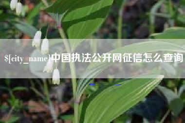 郓城中国执法公开网征信怎么查询