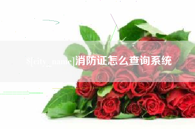 郓城消防证怎么查询系统