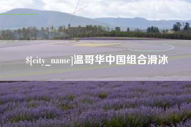 郓城温哥华中国组合滑冰