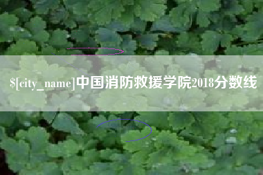 郓城中国消防救援学院2018分数线