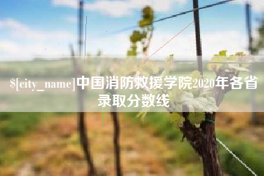 郓城中国消防救援学院2020年各省录取分数线