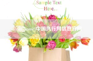 郓城中国执行网信息官网