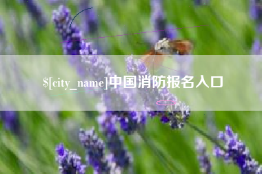 郓城中国消防报名入口