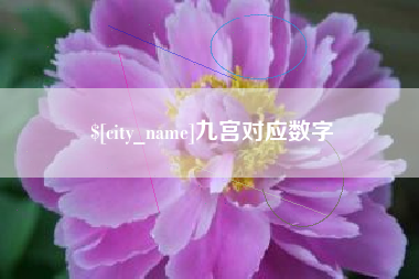 郓城九宫对应数字