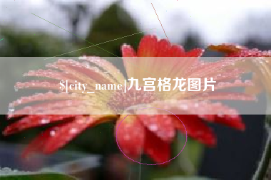 郓城九宫格龙图片