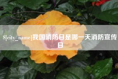 郓城我国消防日是哪一天消防宣传日