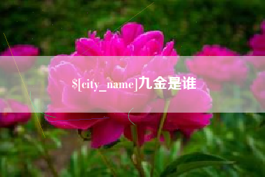 郓城九金是谁