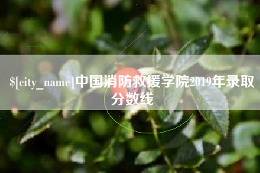 郓城中国消防救援学院2019年录取分数线