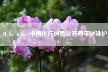 郓城中国执行信息公开网平台维护