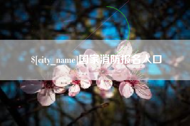 郓城国家消防报名入口