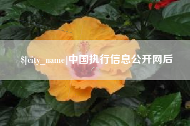 郓城中国执行信息公开网后