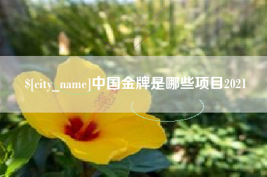 郓城中国金牌是哪些项目2021