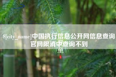 郓城中国执行信息公开网信息查询官网限消中查询不到