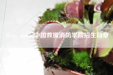 郓城中国救援消防学院招生简章