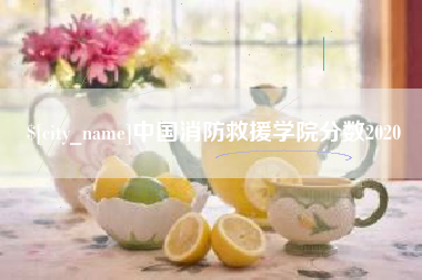 郓城中国消防救援学院分数2020