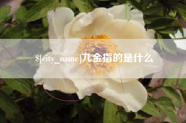 郓城九金指的是什么