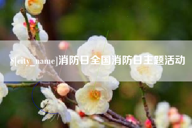 郓城消防日全国消防日主题活动
