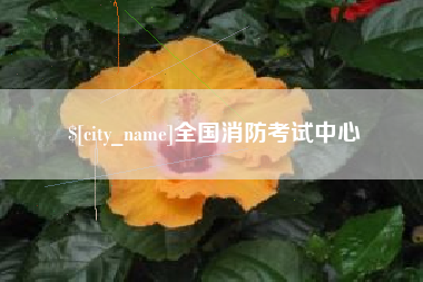 郓城全国消防考试中心