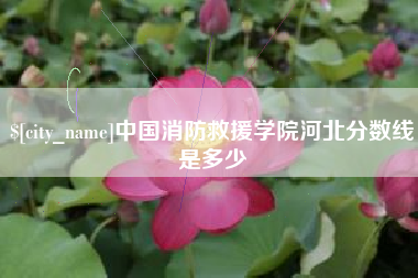 郓城中国消防救援学院河北分数线是多少