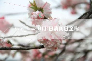 郓城11月9日消防日全称
