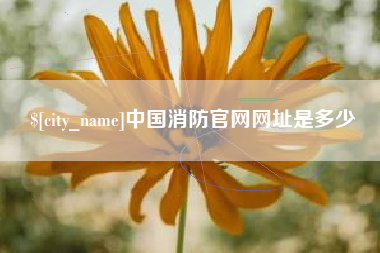 郓城中国消防官网网址是多少