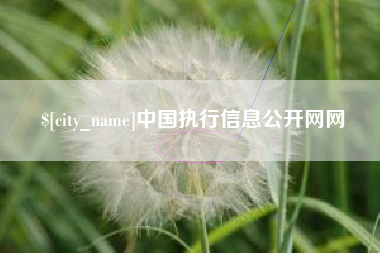郓城中国执行信息公开网网