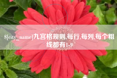 郓城九宫格规则,每行,每列,每个粗线都有1-9