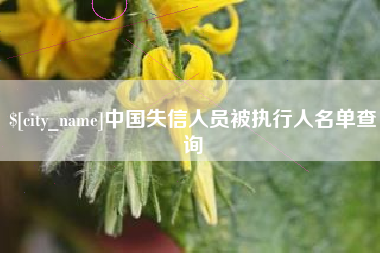 郓城中国失信人员被执行人名单查询