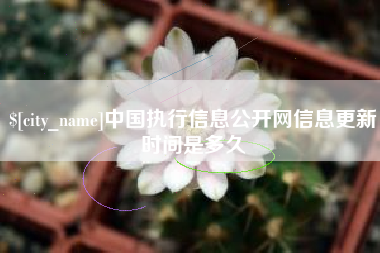 郓城中国执行信息公开网信息更新时间是多久