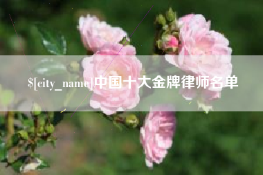 郓城中国十大金牌律师名单
