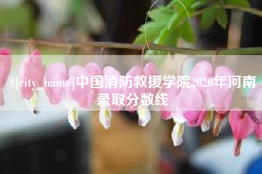 郓城中国消防救援学院2020年河南录取分数线