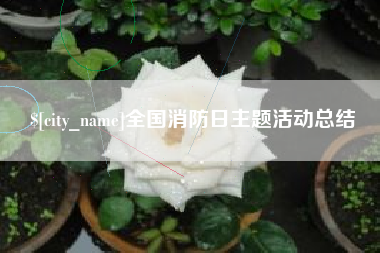 郓城全国消防日主题活动总结