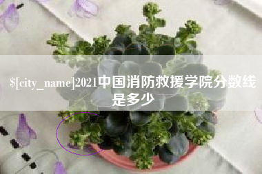 郓城2021中国消防救援学院分数线是多少