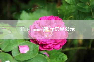郓城执行信息公示
