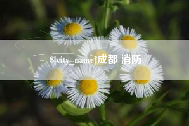 郓城成都 消防