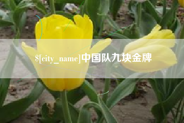 郓城中国队九块金牌