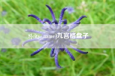 郓城九宫格盘子