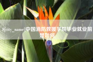 郓城中国消防救援学院毕业就业前景如何