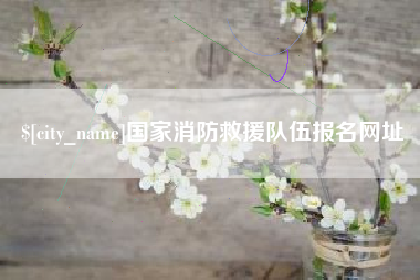 郓城国家消防救援队伍报名网址