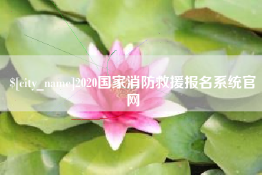 郓城2020国家消防救援报名系统官网