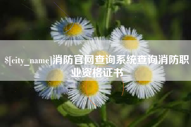 郓城消防官网查询系统查询消防职业资格证书